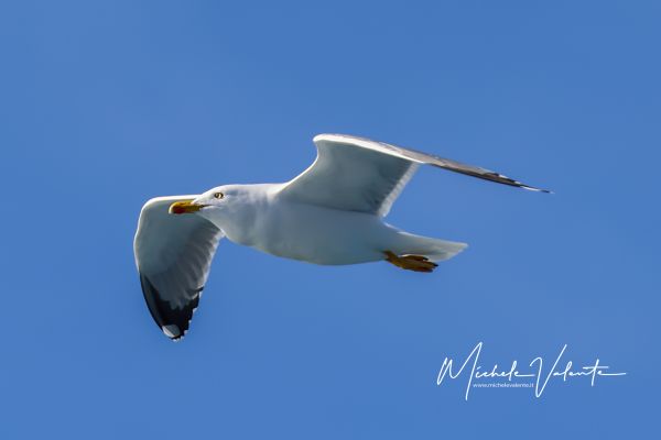 img-1804b0B89077E-EA52-0C0E-DB89-9CFB4B7F465B.jpg