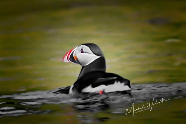 img-2490questo635AD7B1-668D-A4D8-9148-6820B85550AB.jpg
