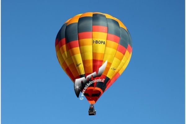 balloons-08F94654E6-989F-443C-CD26-C47F16152E8E.jpg