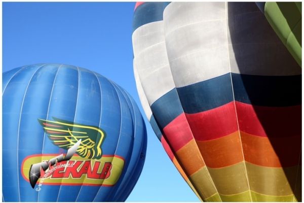 balloons-112C606C4B-2B76-3A50-D41B-3B0F846A7DEF.jpg