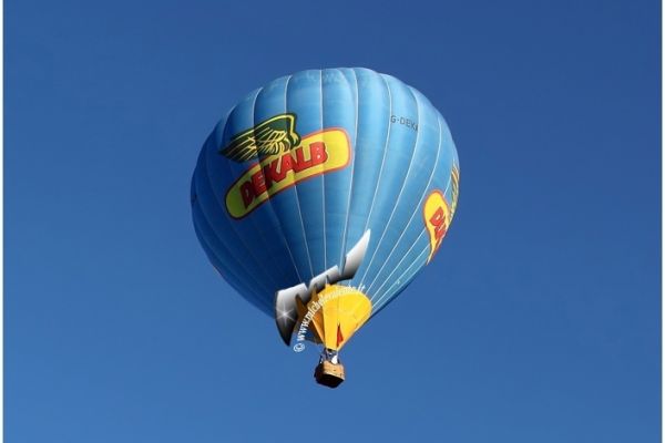 balloons-12F8A4E85A-A65C-0205-1DDB-FE1A2BC955CE.jpg