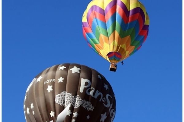 balloons-16C3F98B6D-FD3B-AC66-C5B4-4C801EE5E826.jpg