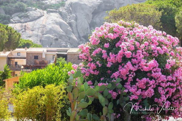 baia-sardinia-02CE08079E-7465-BF5F-C729-D9BE5D45DE64.jpg
