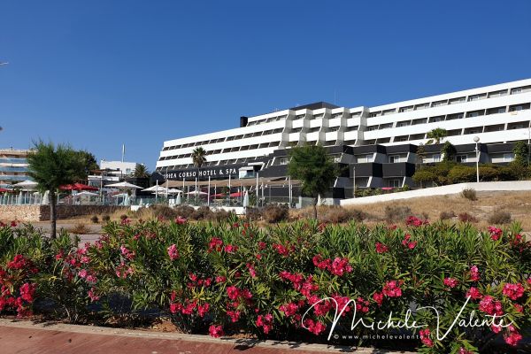 ibiza-0199F9CA0E-24B5-CA6C-E3B4-42A868809DC3.jpg