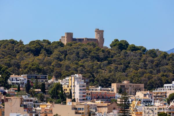 palma-di-maiorca-097EF2E897-20B9-FDEB-ECC0-3D78113E29EC.jpg