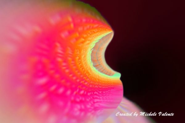 textures-and-backgrounds-07ED71ECF0-2659-6739-4A86-4C83E7AFAEE6.jpg